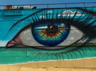 Atelier découverte : Écrire avec son oeil et ses sens 