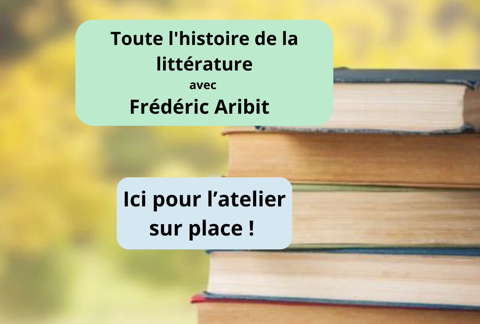 Toute l'histoire de la littérature : (re)découvrir les classiques ! (littérature du 19ème siècle) -  ( sur place ) 