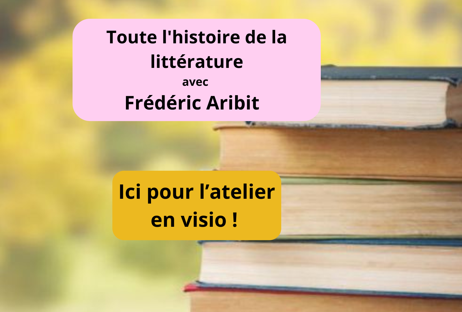 Toute l'histoire de la littérature : (re)découvrir les classiques ! (littérature du 19ème siècle) -  ( En visio ) 