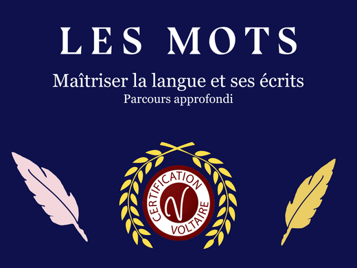 Maitriser la langue et ses écrits Certificat Voltaire (RS7113) - Approfondie